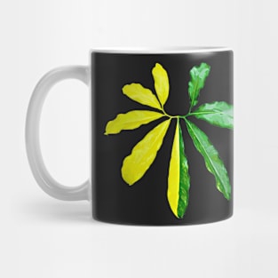 THAUMATOPHYLLUM GOELDII Mug